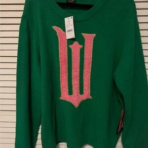 Wicked Target Collection Green and Pink Sweater